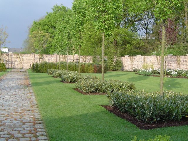 Aanleg gehele tuin nieuwbouw, Someren